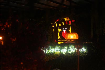 Kykeon Kaleiçi Antalya